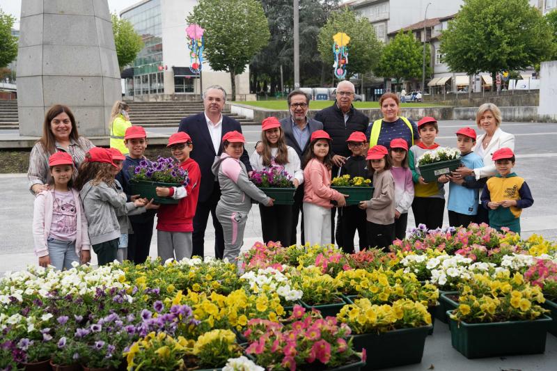 Flores
